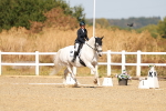 SBM_017834