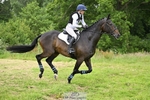 BE 90 SJ & XC portfolio