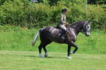 3E7A8233