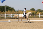 SBM_004948