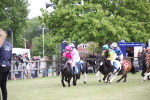 SBM_09992