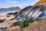 Whitesands