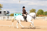 SBM_15493