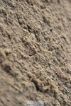 231013A-121504-01602