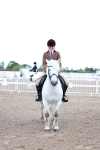 SBM_00328