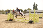 SBM_001315