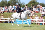 3E7A9780