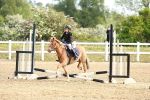 SBM_006620