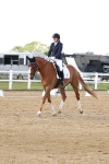 SBM_012010