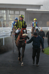 281224-Race 1-Not Staying Long-1245