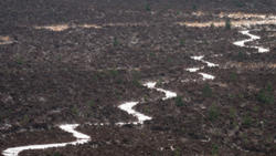 Snow path through Heather