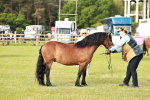 SBM_00526
