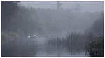 Daybreak on the River Suir, Co Tipperary