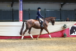 SBM_23268