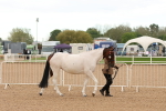 SBM_16479