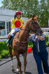 300526-Race 1-Forest Phoenix-0253