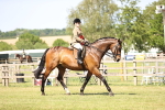 SBM_18085
