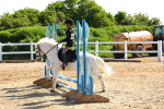 SBM_006732