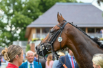260724-Race 2-Churchella-4759