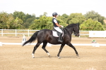 SBM_001950