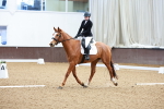 SBM_001203