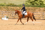 SBM_002290