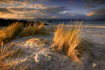 Ben's Beach