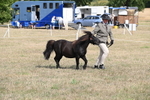 WJ6_6806
