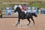 BPP_5658