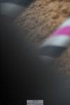 240207A-152824-00732