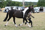 WJ6_5276