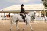 SBM_15561
