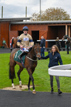 240424-Race 2-Restless Prince-7765