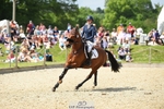 171-SLANEYSIDE_COOLEY-Lara_Chapple-SUNTrotUp+SJ portfolio