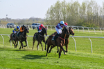 080426-Race 4-Evocative Spark-0344