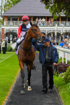 180523-Race 3-Croupier-0415