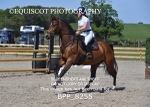 BPP_8255