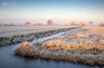 Winter moon, first light