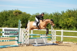 SBM_002461
