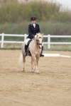 SBM_006312