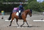 BPP_6133