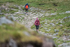  Duddon Long-484