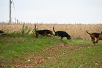 WJ6_9379