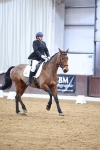 SBM_006911