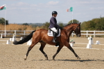 SBM_022495