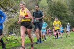 Dovedale Dash-1512