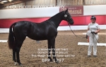 BPP_1797