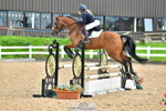 Cls 39 A&B British Novice & 90cm Open portfolio