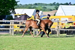 SBM_19913