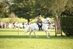 SBM_54328